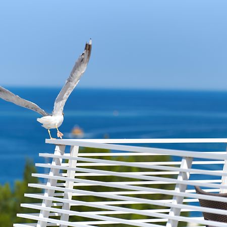 Hotel Albatros Plava Laguna Poreč Kültér fotó